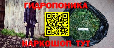 спиды Моздок