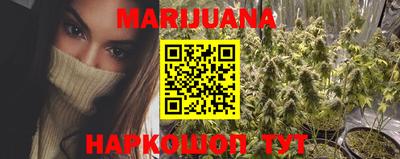 спиды Моздок